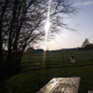 Meet your Posher, Ella